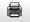 Print Icon